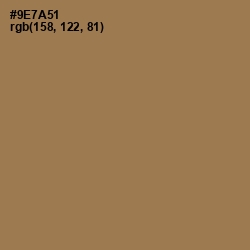 #9E7A51 - Leather Color Image
