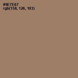 #9E7E67 - Almond Frost Color Image