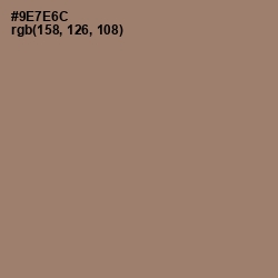 #9E7E6C - Almond Frost Color Image
