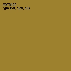 #9E812E - Sycamore Color Image