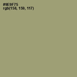 #9E9F75 - Gurkha Color Image
