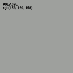 #9EA09E - Sage Color Image