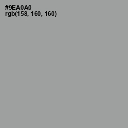 #9EA0A0 - Pewter Color Image