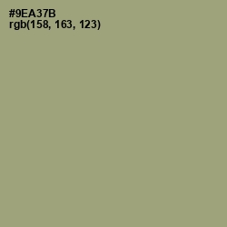 #9EA37B - Olivine Color Image