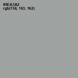 #9EA3A2 - Pewter Color Image