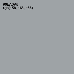 #9EA3A6 - Pewter Color Image