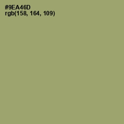 #9EA46D - Olivine Color Image