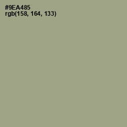 #9EA485 - Sage Color Image
