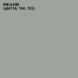 #9EA49B - Sage Color Image