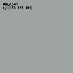 #9EA5A1 - Pewter Color Image