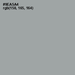 #9EA5A4 - Pewter Color Image