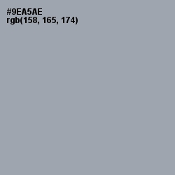 #9EA5AE - Pewter Color Image