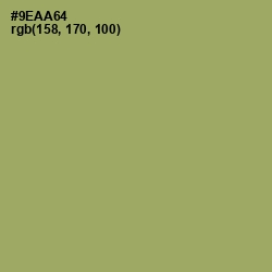 #9EAA64 - Olivine Color Image