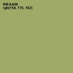 #9EAA66 - Olivine Color Image