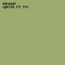 #9EAB6F - Olivine Color Image