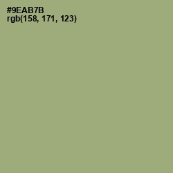 #9EAB7B - Olivine Color Image