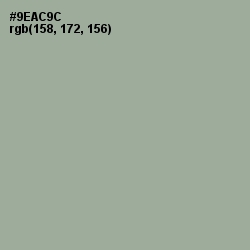 #9EAC9C - Sage Color Image
