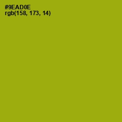 #9EAD0E - Citron Color Image