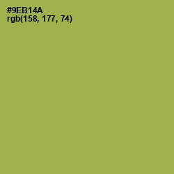 #9EB14A - Chelsea Cucumber Color Image