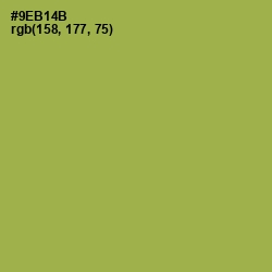 #9EB14B - Chelsea Cucumber Color Image