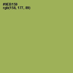 #9EB159 - Chelsea Cucumber Color Image