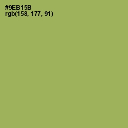 #9EB15B - Chelsea Cucumber Color Image