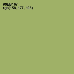 #9EB167 - Olivine Color Image