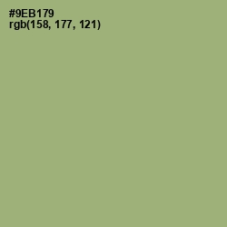 #9EB179 - Olivine Color Image