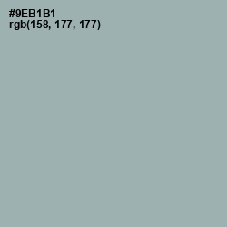 #9EB1B1 - Gull Gray Color Image