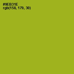 #9EB31E - Citron Color Image