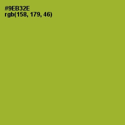 #9EB32E - Sushi Color Image