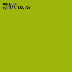 #9EB60C - Citron Color Image