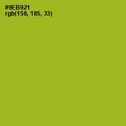 #9EB921 - Sushi Color Image