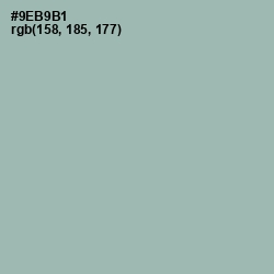 #9EB9B1 - Summer Green Color Image