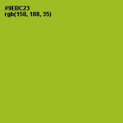 #9EBC23 - Sushi Color Image
