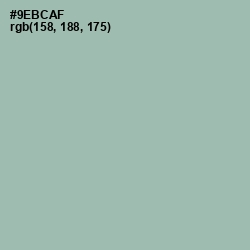 #9EBCAF - Summer Green Color Image