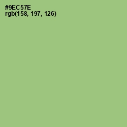 #9EC57E - Wild Willow Color Image