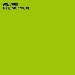 #9EC606 - Pistachio Color Image