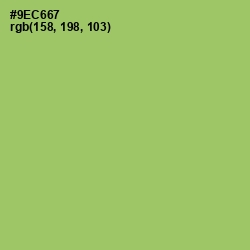 #9EC667 - Wild Willow Color Image