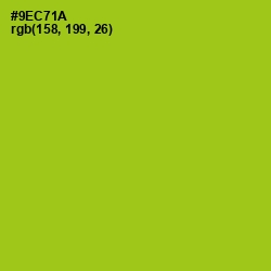 #9EC71A - Pistachio Color Image