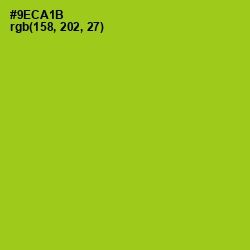#9ECA1B - Pistachio Color Image