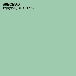 #9ECBAD - Shadow Green Color Image