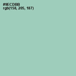 #9ECDBB - Shadow Green Color Image