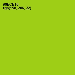 #9ECE16 - Pistachio Color Image