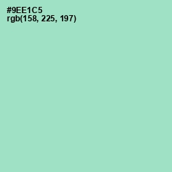 #9EE1C5 - Riptide Color Image