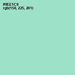 #9EE1C9 - Riptide Color Image