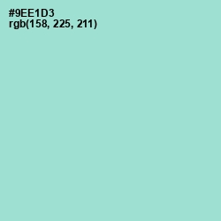 #9EE1D3 - Riptide Color Image