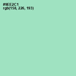 #9EE2C1 - Riptide Color Image