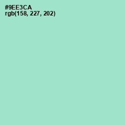 #9EE3CA - Riptide Color Image