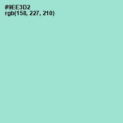 #9EE3D2 - Riptide Color Image